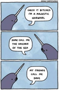 Cartoon about narwhals. 