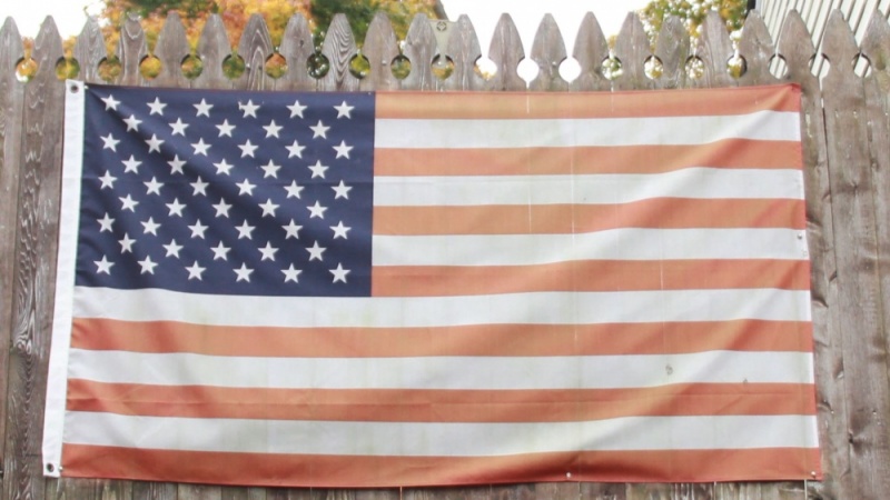 Flag on Fence